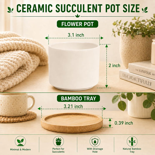 3.1" Ceramic Succulent Pots,White Planter with Drainage Tray