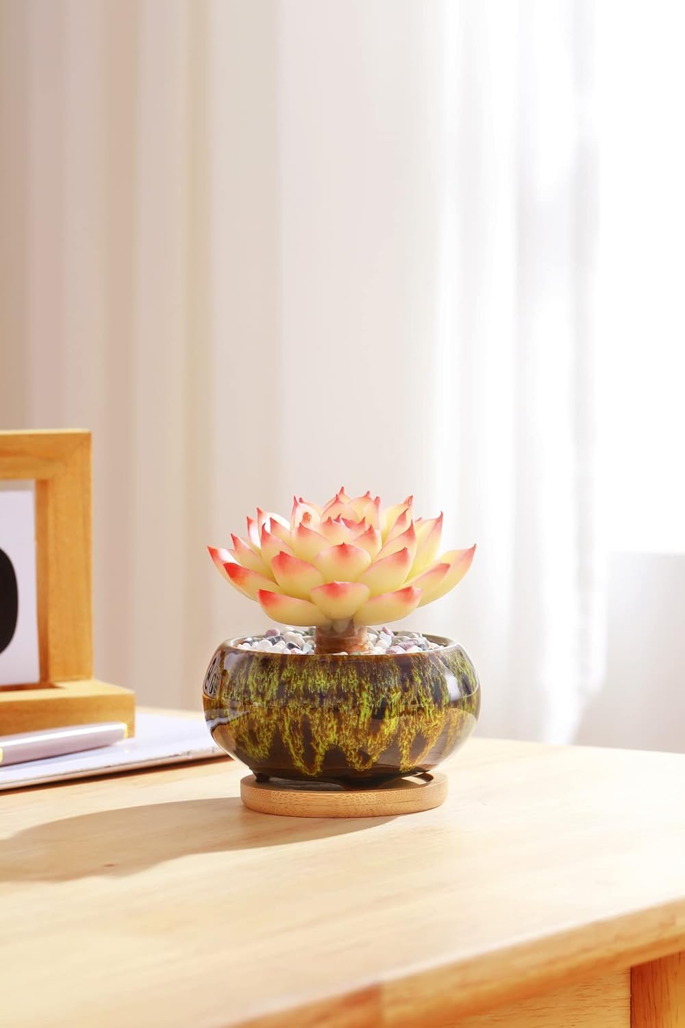 Cute Ceramic Succulent Garden Pots, Planter with Drainage and Attached Saucer, Set of 5 -Plants Not Included (Burner)