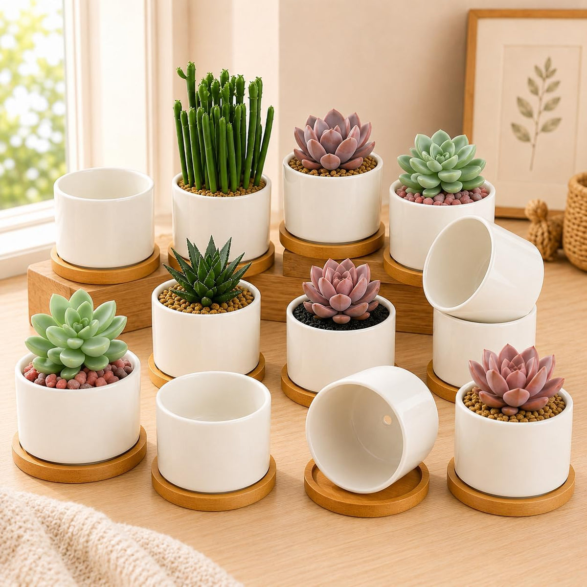 3.6" Ceramic Succulent Pots,White Planter with Drainage Tray