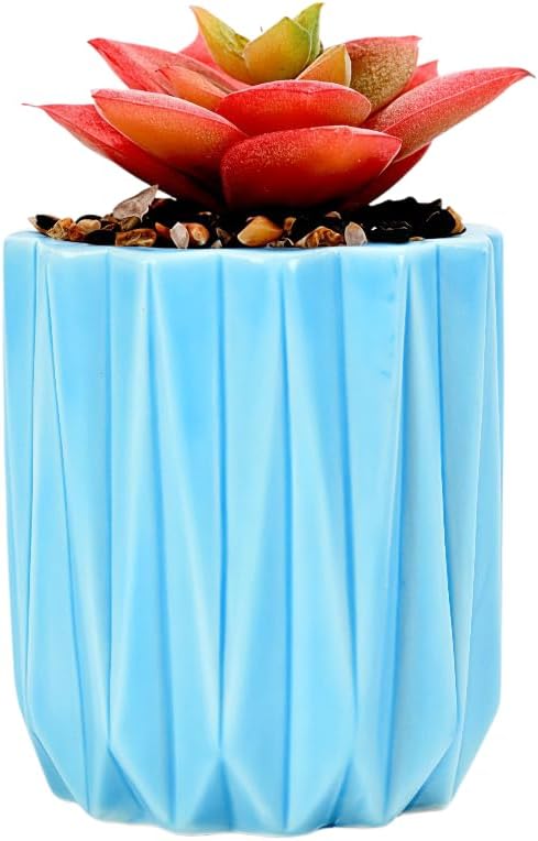 Cuteforyou Modern Textured Ceramic Succulent Planter Pot – 6 Color Options (No Plant Included) – Perfect for Small Plants, Cacti & Desk Decor – Lightweight & Durable (Green, 3.5'' Tall)