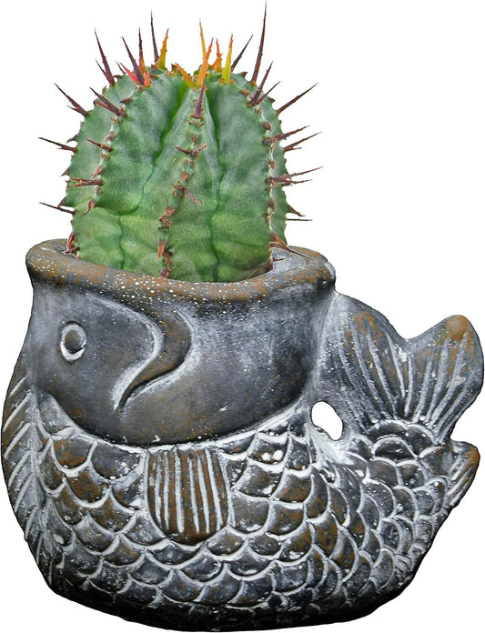 Cement Buddies Animal Planter - Cute Desk Decoration - UV Coated Animal Vase w/Removable Drain Plug -Succulent Planter for Indoor/Outdoor Use (Largemouth Bass, Bronze, Small)