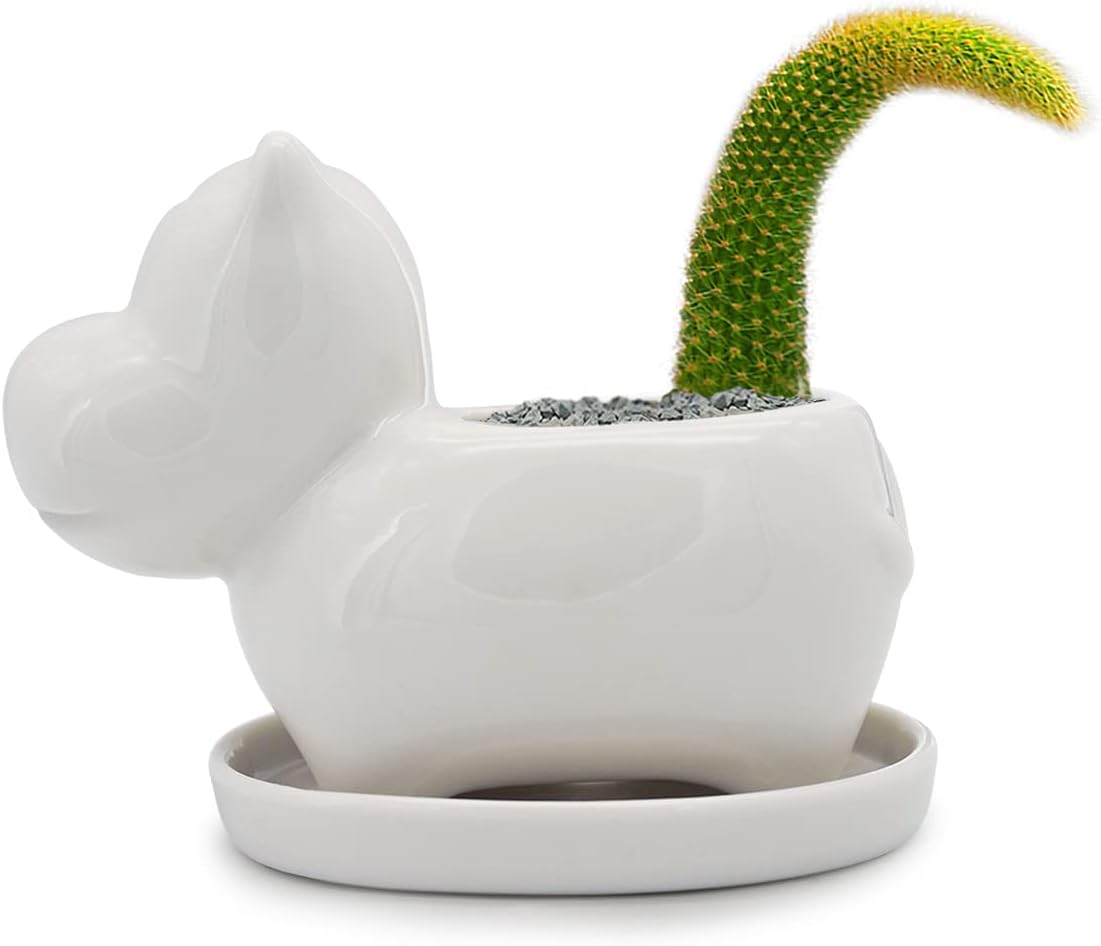White Dinosaur Ceramic Succulent Planter Flower Plant Pot Window Box with Saucer Cartoon Animal Decor, 5 Inch, Indoor Outdoor