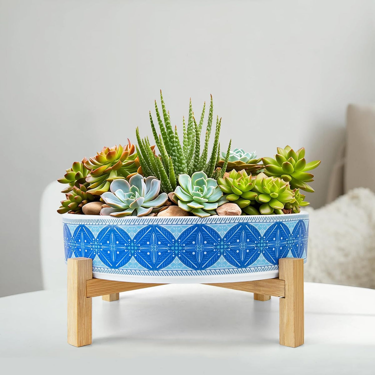 Succulent Pots, 11 Inch Large Plant Pots Ceramic Bonsai Pots with Drainage