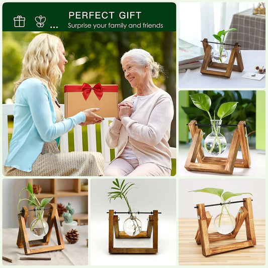 Plant Propagation Station Bulb Vase, 1 Bulb Vase