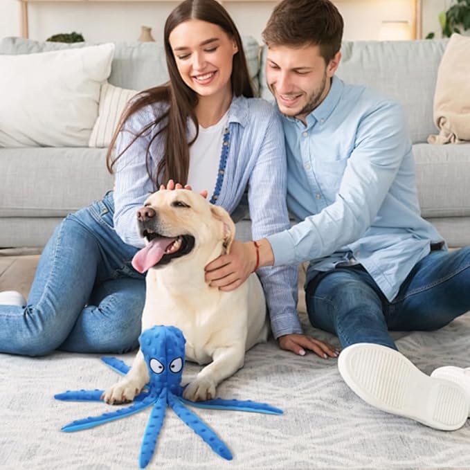 Dog Toys
