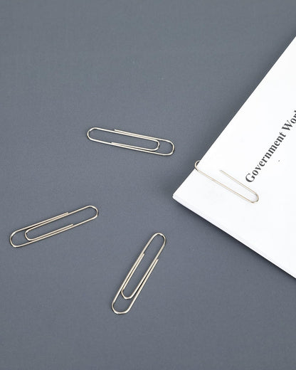 PAPERPAL Paperclips for Office School & Personal Use, #1 Nonskid Paper Clip (1-2/7"), 600 Medium Paper Clips (6 Boxes of 100 Each), Silver