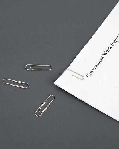PAPERPAL Paperclips for Office School & Personal Use, #1 Nonskid Paper Clip (1-2/7"), 600 Medium Paper Clips (6 Boxes of 100 Each), Silver