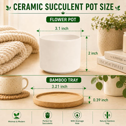 3.1" Ceramic Succulent Pots,White Planter with Drainage Tray
