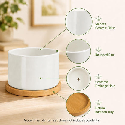 3.1" Ceramic Succulent Pots,White Planter with Drainage Tray