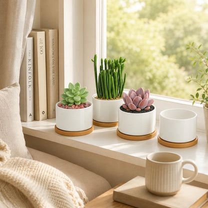 3.1" Ceramic Succulent Pots,White Planter with Drainage Tray