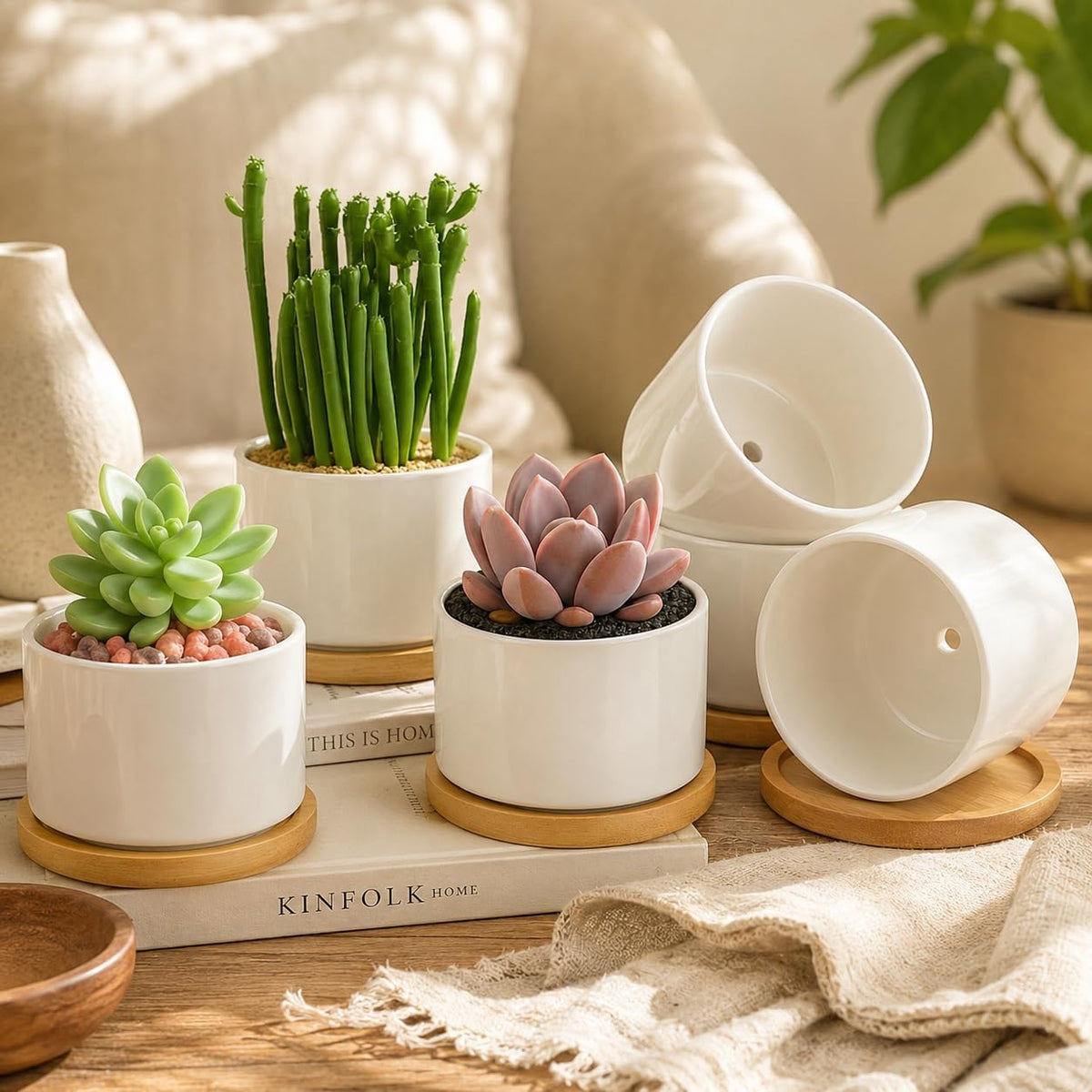 3.1" Ceramic Succulent Pots,White Planter with Drainage Tray