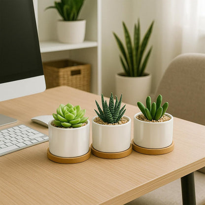 3.1" Ceramic Succulent Pots,White Planter with Drainage Tray