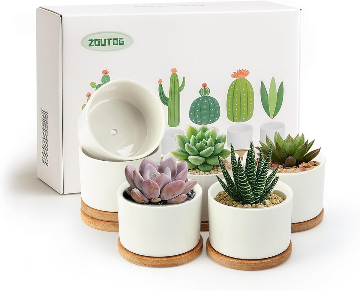 3.1" Ceramic Succulent Pots,White Planter with Drainage Tray