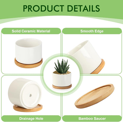 3.1" Ceramic Succulent Pots,White Planter with Drainage Tray