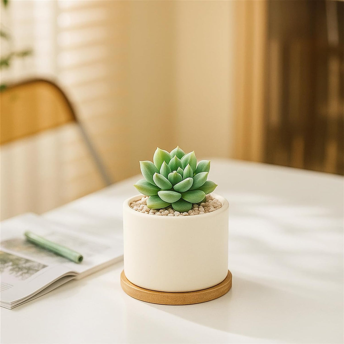 3.1" Ceramic Succulent Pots,White Planter with Drainage Tray