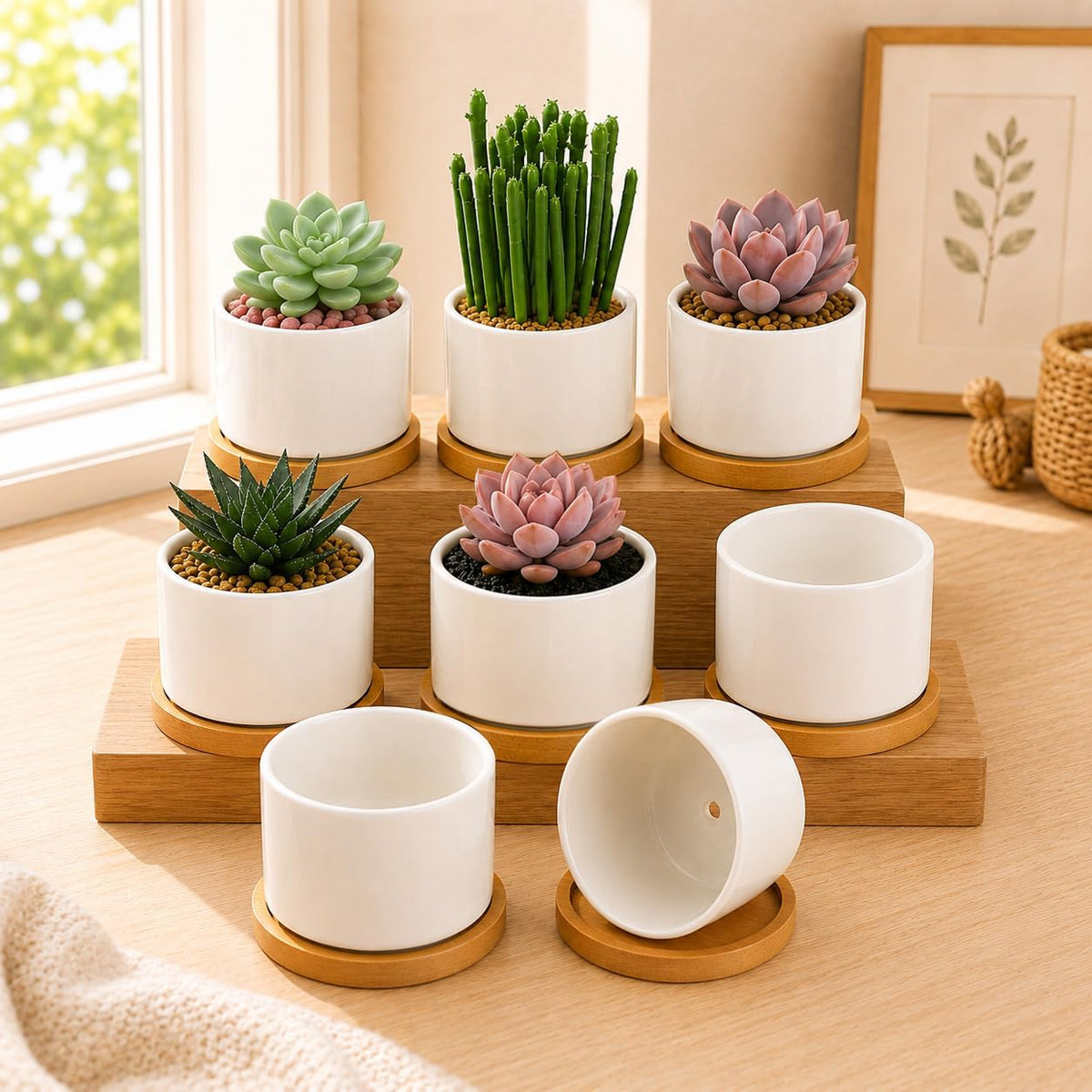 3.1" Ceramic Succulent Pots,White Planter with Drainage Tray