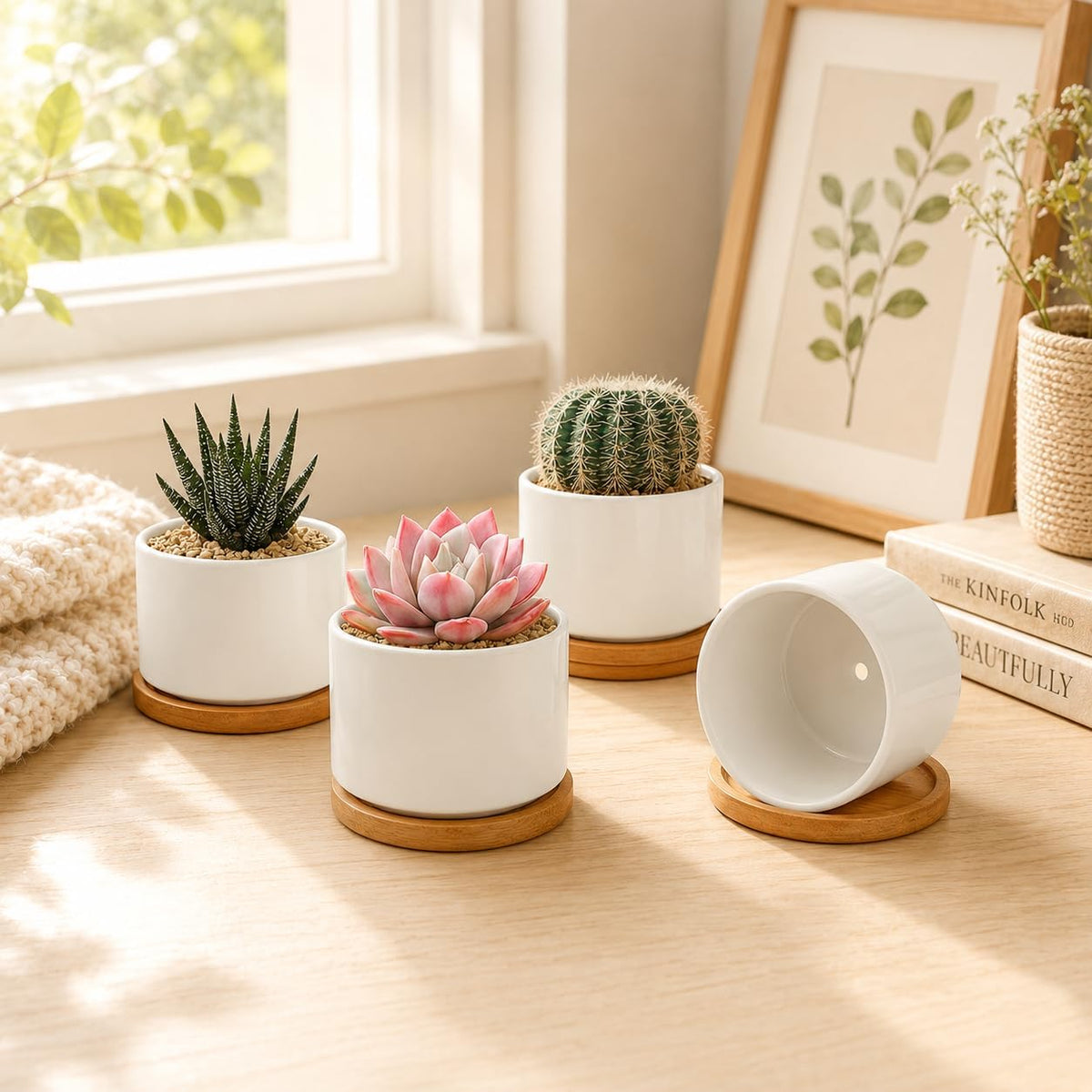 3.1" Ceramic Succulent Pots,White Planter with Drainage Tray