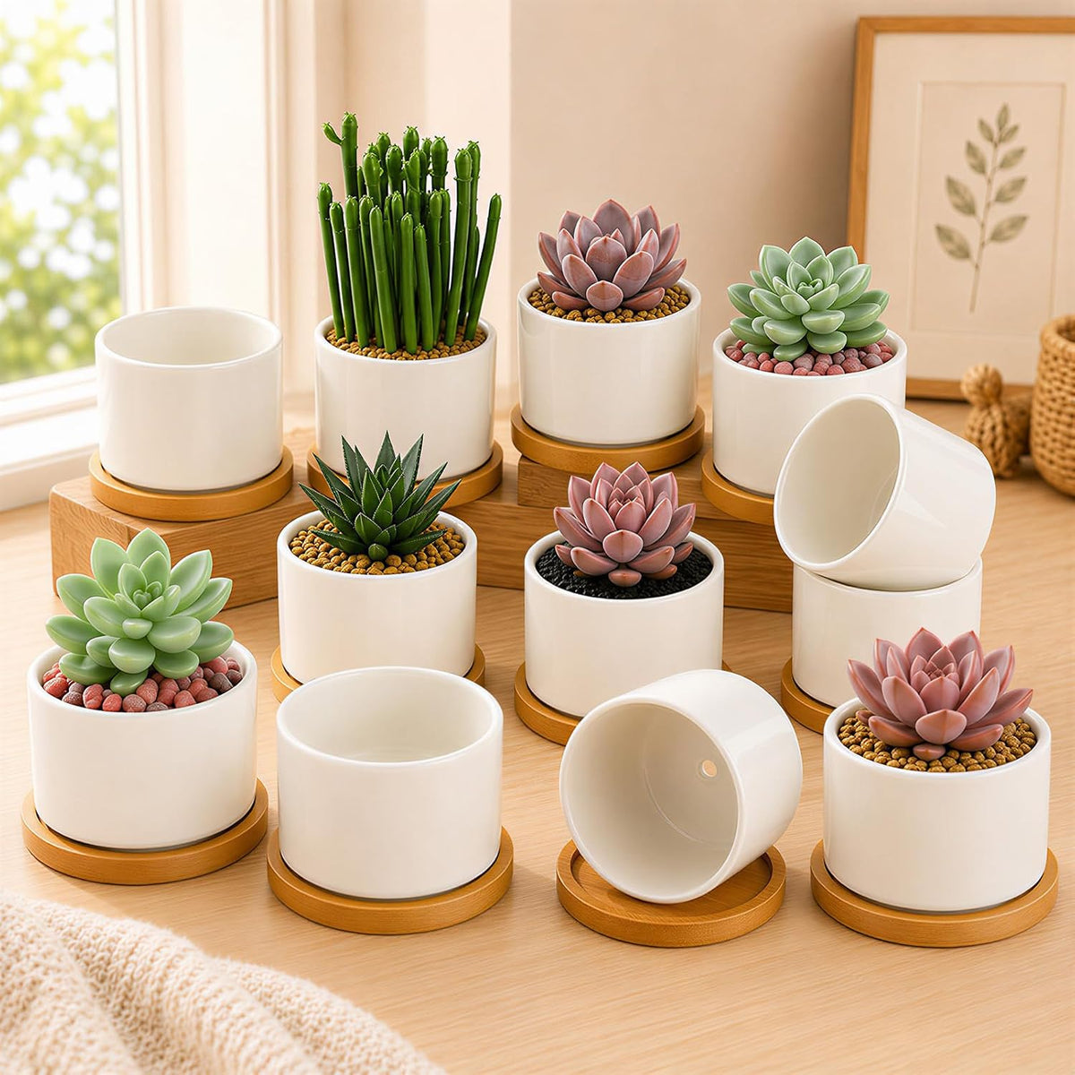 3.1" Ceramic Succulent Pots,White Planter with Drainage Tray
