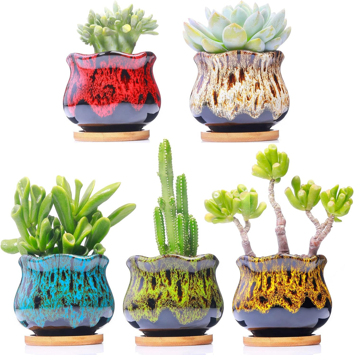 Cute Ceramic Succulent Garden Pots, Planter with Drainage and Attached Saucer, Set of 5 -Plants Not Included (Burner)