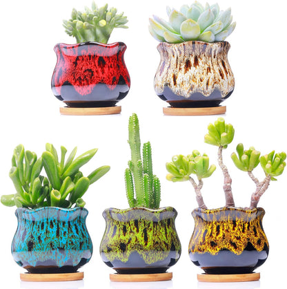 Cute Ceramic Succulent Garden Pots, Planter with Drainage and Attached Saucer, Set of 5 -Plants Not Included (Burner)