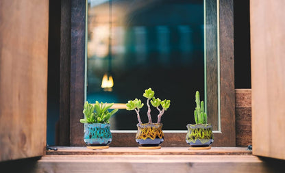 Cute Ceramic Succulent Garden Pots, Planter with Drainage and Attached Saucer, Set of 5 -Plants Not Included (Burner)