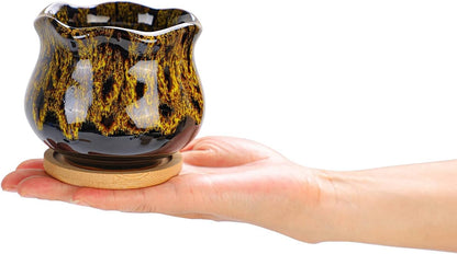 Cute Ceramic Succulent Garden Pots, Planter with Drainage and Attached Saucer, Set of 5 -Plants Not Included (Burner)