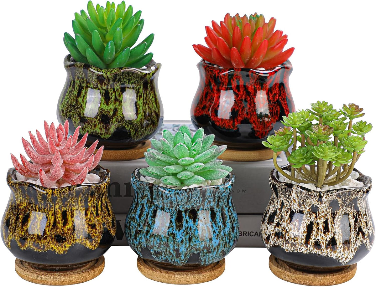 Cute Ceramic Succulent Garden Pots, Planter with Drainage and Attached Saucer, Set of 5 -Plants Not Included (Burner)