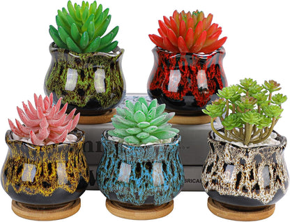 Cute Ceramic Succulent Garden Pots, Planter with Drainage and Attached Saucer, Set of 5 -Plants Not Included (Burner)