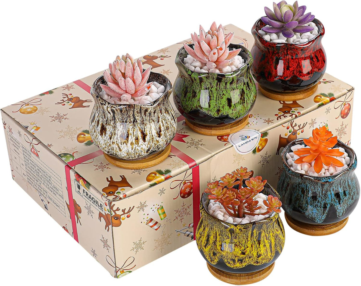 Cute Ceramic Succulent Garden Pots, Planter with Drainage and Attached Saucer, Set of 5 -Plants Not Included (Burner)