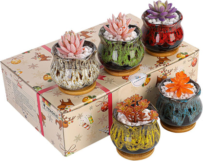 Cute Ceramic Succulent Garden Pots, Planter with Drainage and Attached Saucer, Set of 5 -Plants Not Included (Burner)