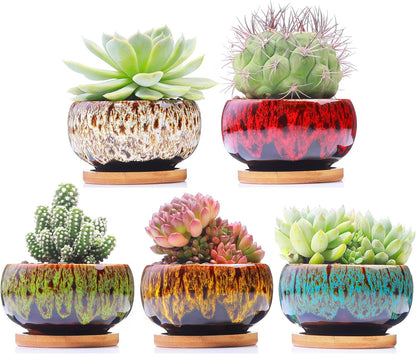 Cute Ceramic Succulent Garden Pots, Planter with Drainage and Attached Saucer, Set of 5 -Plants Not Included (Burner)