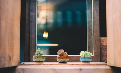 Cute Ceramic Succulent Garden Pots, Planter with Drainage and Attached Saucer, Set of 5 -Plants Not Included (Burner)