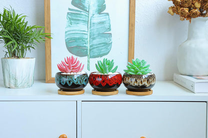 Cute Ceramic Succulent Garden Pots, Planter with Drainage and Attached Saucer, Set of 5 -Plants Not Included (Burner)