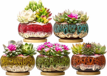 Cute Ceramic Succulent Garden Pots, Planter with Drainage and Attached Saucer, Set of 5 -Plants Not Included (Burner)