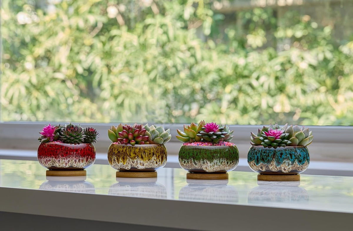 Cute Ceramic Succulent Garden Pots, Planter with Drainage and Attached Saucer, Set of 5 -Plants Not Included (Burner)