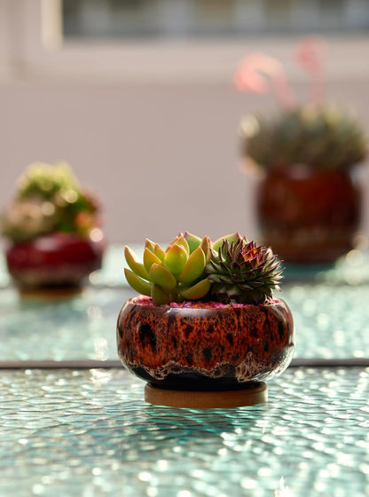 Cute Ceramic Succulent Garden Pots, Planter with Drainage and Attached Saucer, Set of 5 -Plants Not Included (Burner)