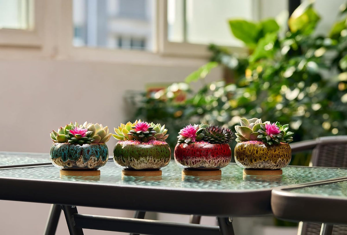 Cute Ceramic Succulent Garden Pots, Planter with Drainage and Attached Saucer, Set of 5 -Plants Not Included (Burner)