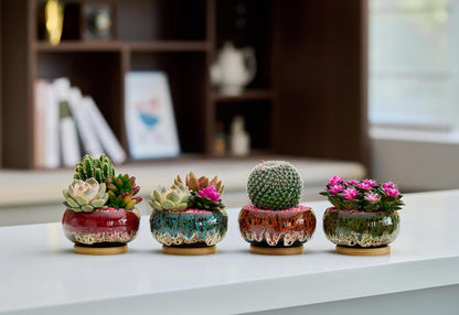 Cute Ceramic Succulent Garden Pots, Planter with Drainage and Attached Saucer, Set of 5 -Plants Not Included (Burner)