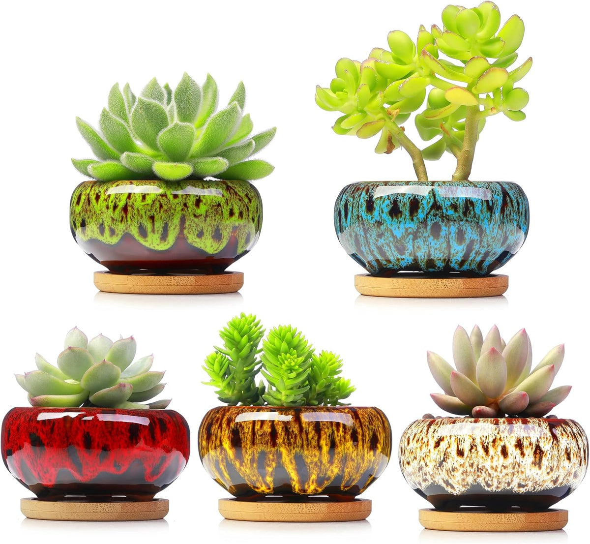 Cute Ceramic Succulent Garden Pots, Planter with Drainage and Attached Saucer, Set of 5 -Plants Not Included (Burner)