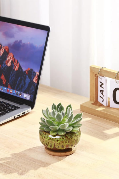 Cute Ceramic Succulent Garden Pots, Planter with Drainage and Attached Saucer, Set of 5 -Plants Not Included (Burner)