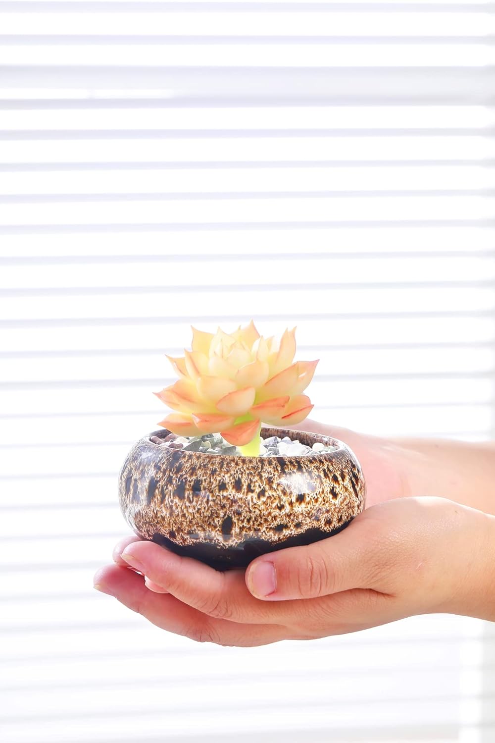 Cute Ceramic Succulent Garden Pots, Planter with Drainage and Attached Saucer, Set of 5 -Plants Not Included (Burner)