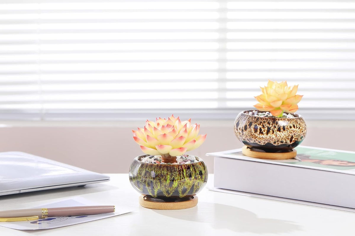 Cute Ceramic Succulent Garden Pots, Planter with Drainage and Attached Saucer, Set of 5 -Plants Not Included (Burner)