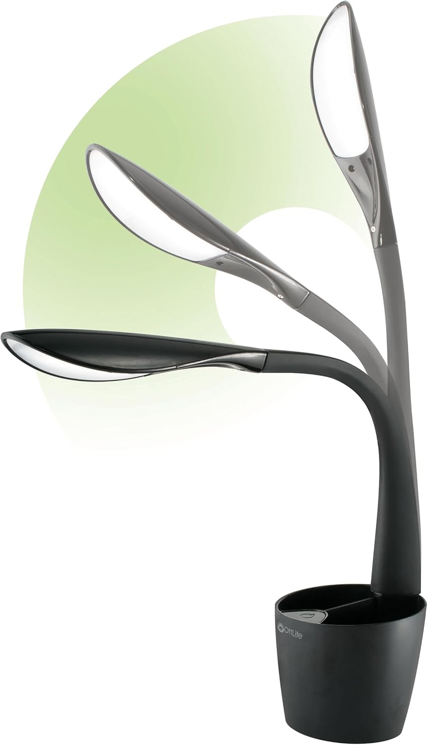 Organizer LED Desk Lamp with Storage Compartment, Black