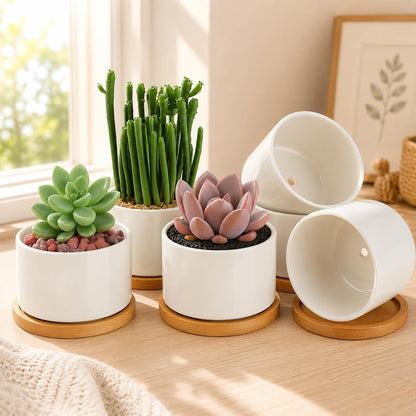 3.6" Ceramic Succulent Pots,White Planter with Drainage Tray