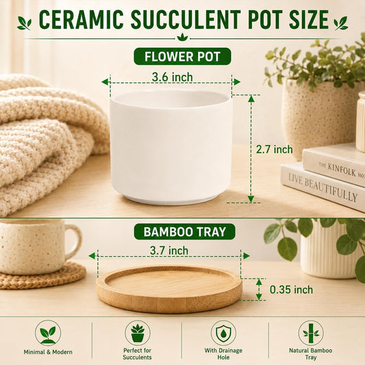 3.6" Ceramic Succulent Pots,White Planter with Drainage Tray