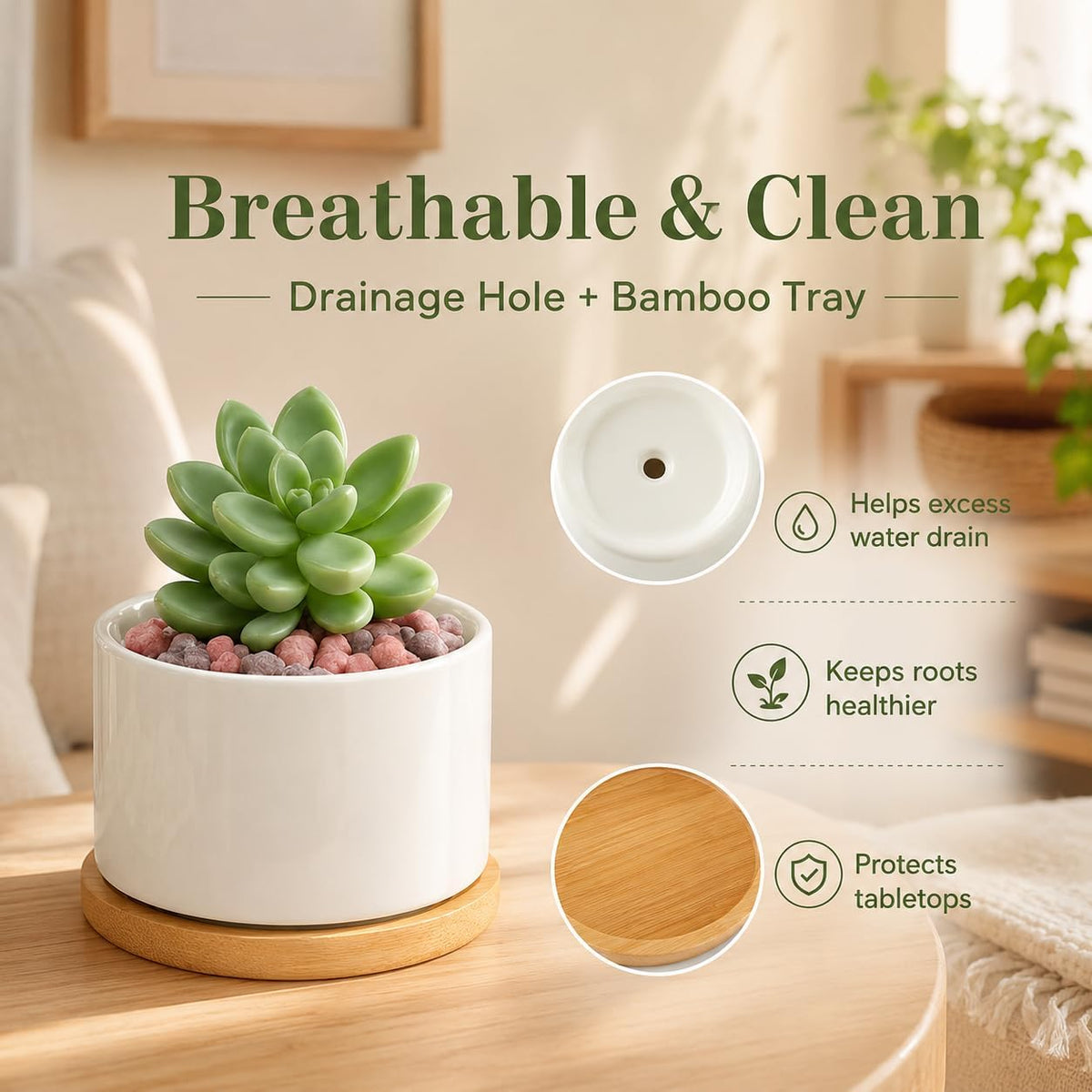3.6" Ceramic Succulent Pots,White Planter with Drainage Tray