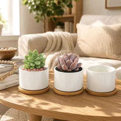 3.6" Ceramic Succulent Pots,White Planter with Drainage Tray