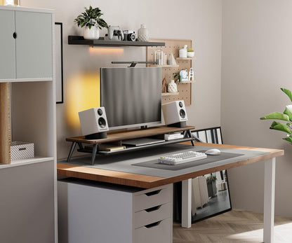 Dual Monitor Stand Riser, Wooden Desk Shelf with 2-Tier Storage