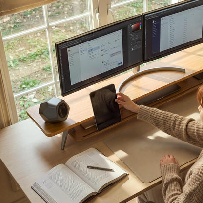 Dual Monitor Stand Riser, Wooden Desk Shelf with 2-Tier Storage