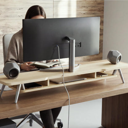 Dual Monitor Stand Riser, Wooden Desk Shelf with 2-Tier Storage